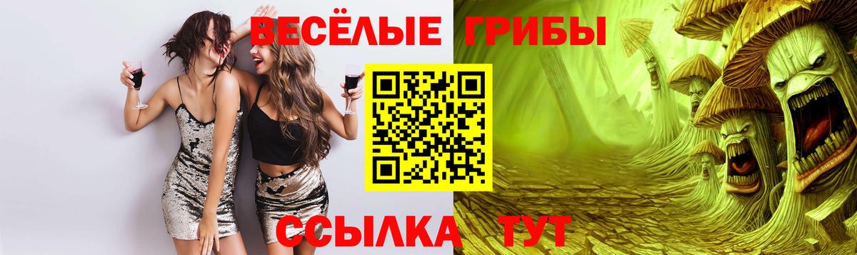 Псилоцибиновые грибы Cubensis  Вход с VPN  Полевской  Псилоцибиновые грибы MAGIC MUSHROOMS 